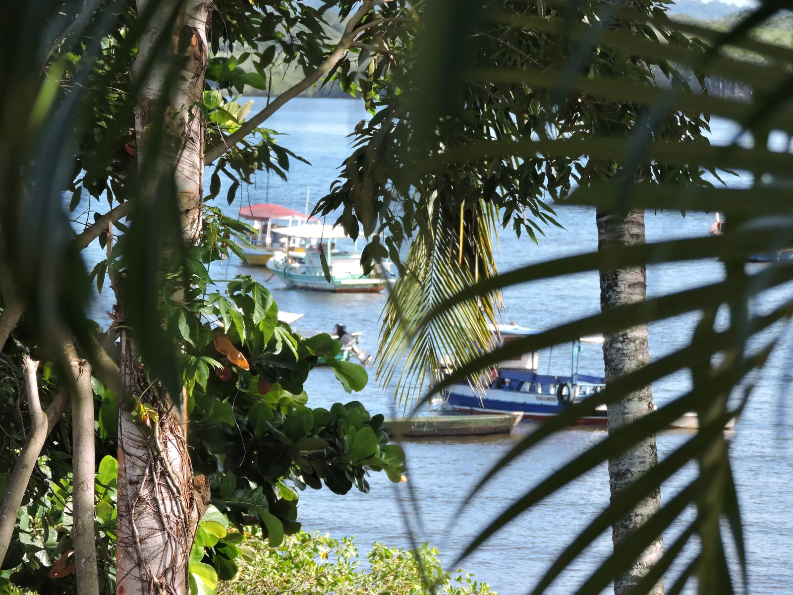 Vista na Pousada Portal da Concha, Itacaré